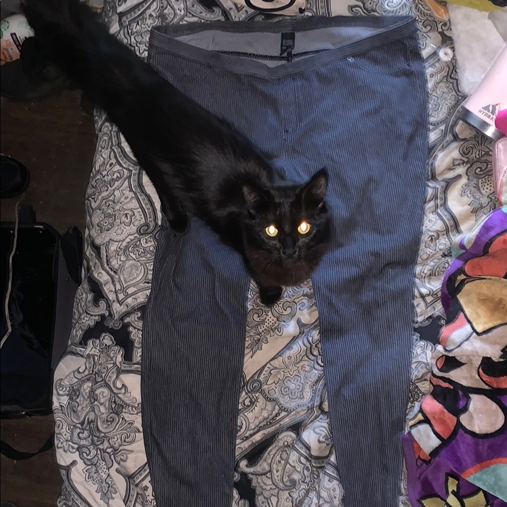 Gray Jeggings (cat not for sale)